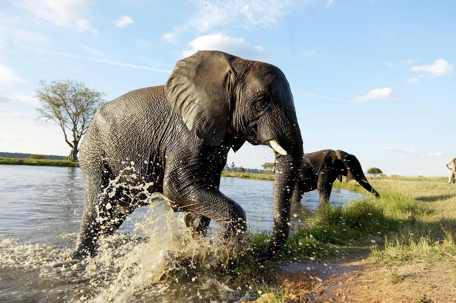 Sabi Sands Lodges Reservation photo 3