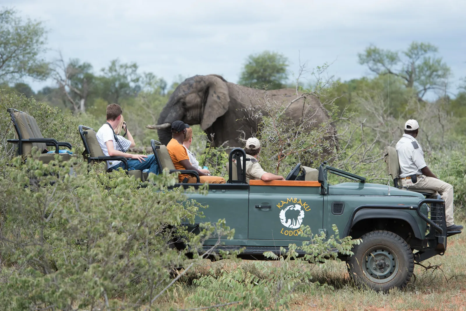 Kruger Park Safari Reservations South Afric photo 3
