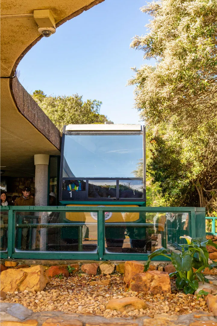 iGoAfrika Tours photo 1
