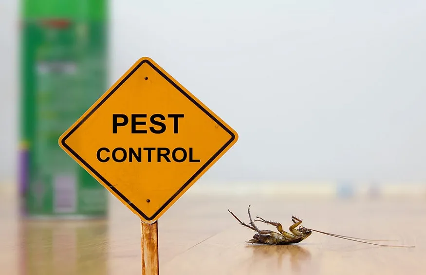 QUALITY HYGICLEAN AND PEST CONTROL photo 2