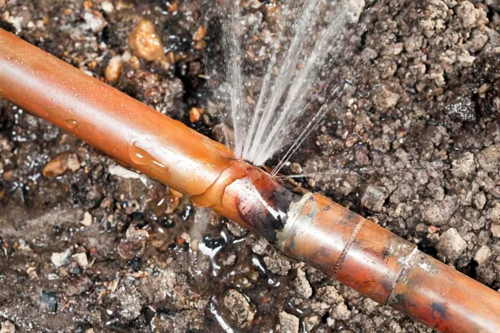 Wierdapark Plumbers photo 1