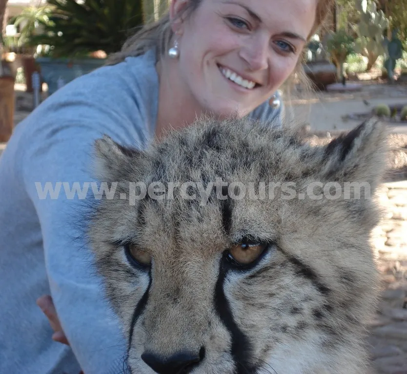 Percy Tours (and transfers) Hermanus photo 3