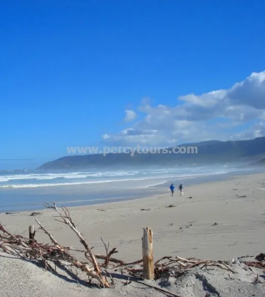Percy Tours (and transfers) Hermanus photo 4