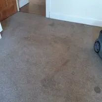 The Cleaning Guy photo 1