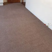 The Cleaning Guy photo 2