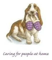 Cape Care Agency logo