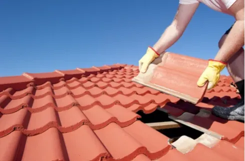 Tshisa Roof Repairs and Maintenance photo 3