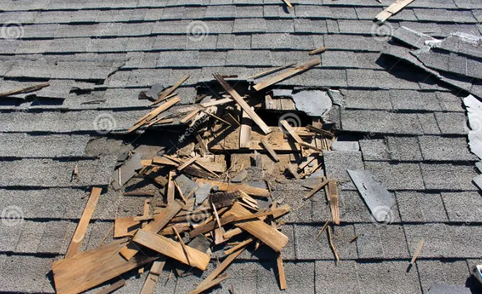 Tshisa Roof Repairs and Maintenance photo 4