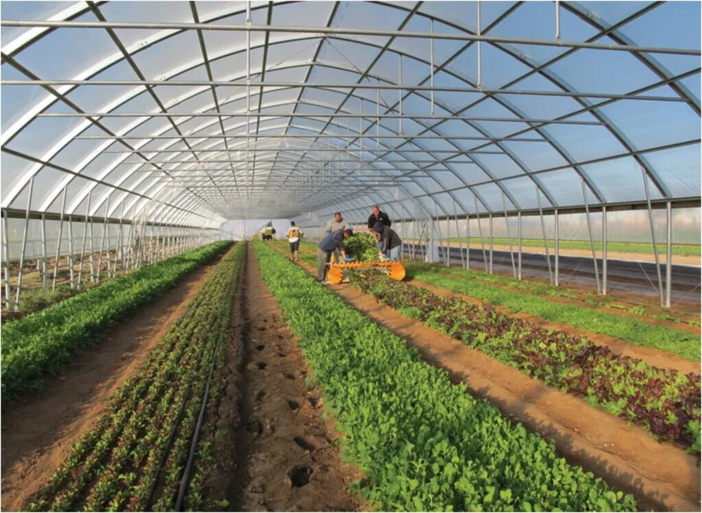 BA Greenhouse Tunnels 0825064115 photo 1