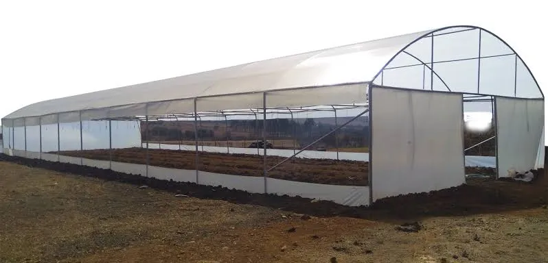 BA Greenhouse Tunnels 0825064115 photo 3