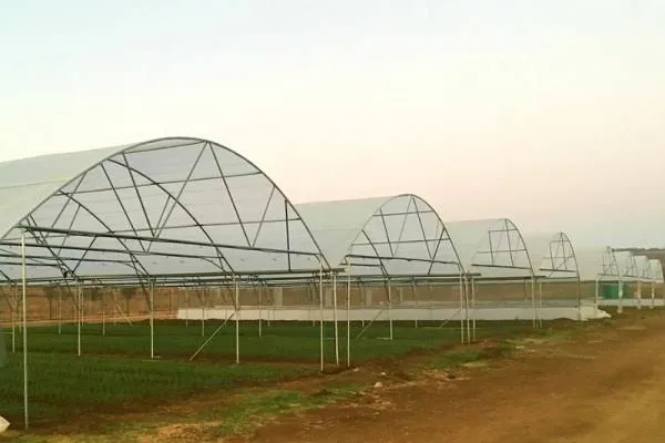 BA Greenhouse Tunnels 0825064115 photo 4