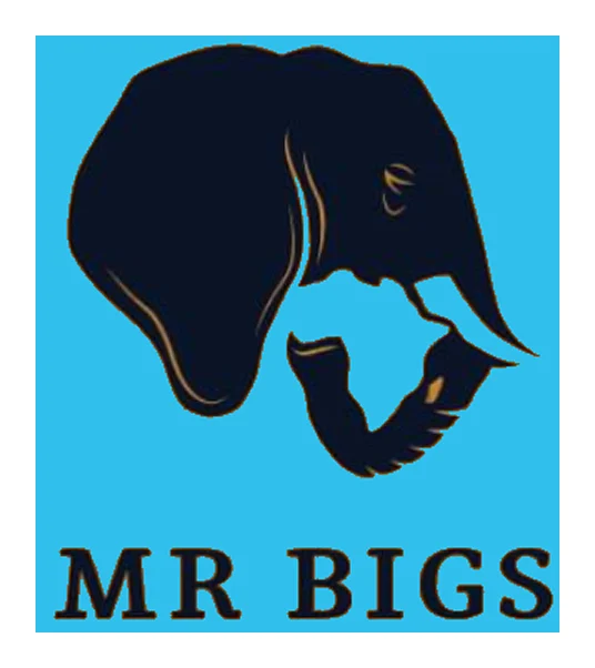 Mr Bigs logo