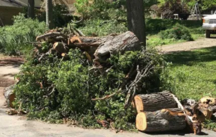 CK Boom Sloping/Tree Felling photo 3