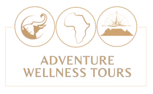 Adventure Wellness Tours photo 1