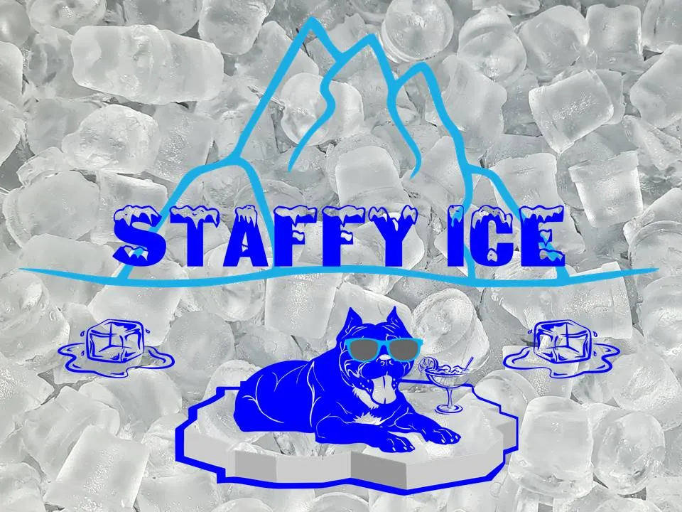 Staffy Ice photo 1