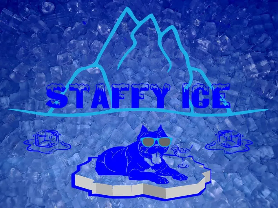 Staffy Ice photo 2