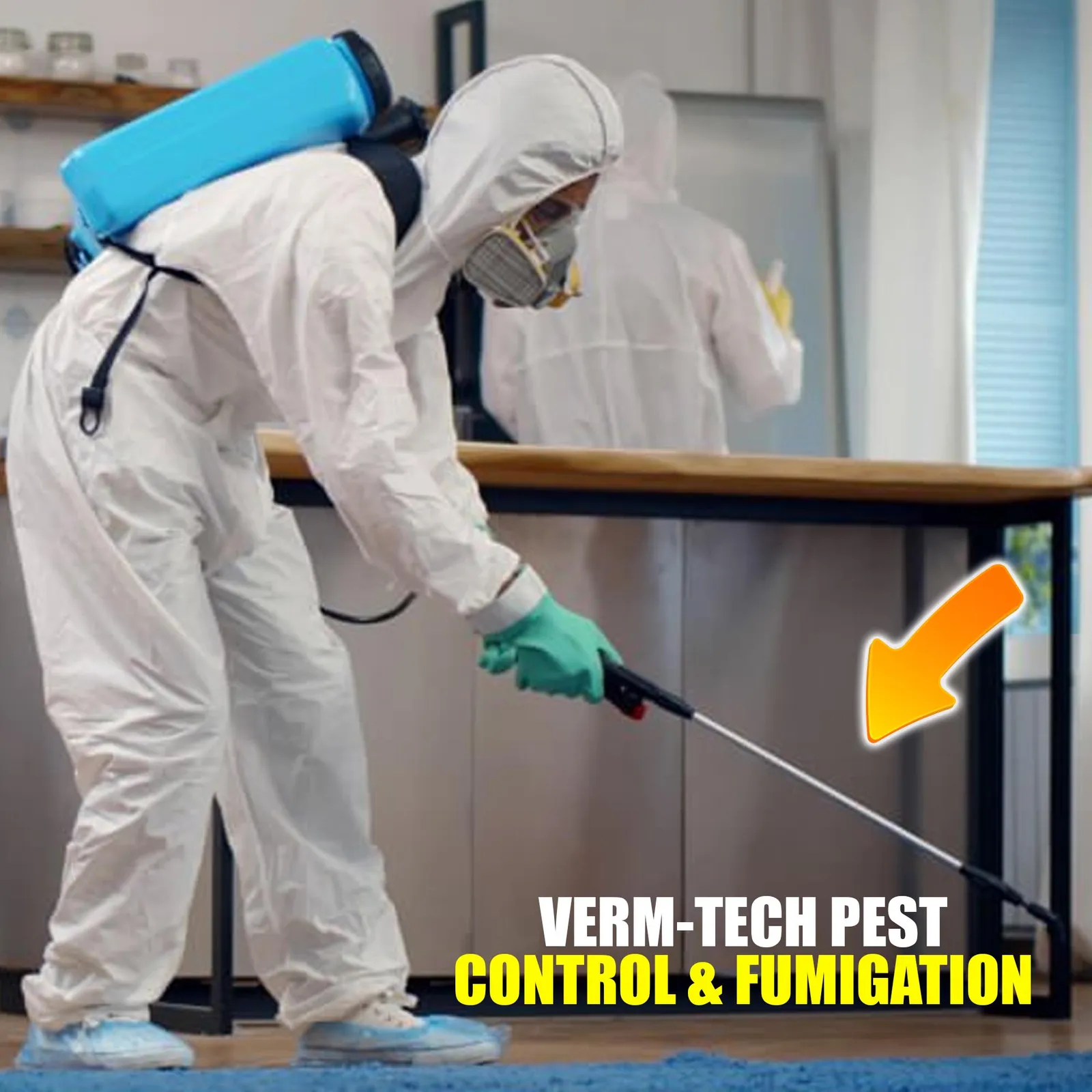 VERM-TECH Pest Control Cape Town photo 2