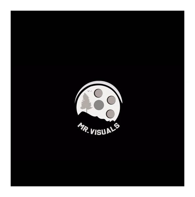 Mister visuals logo