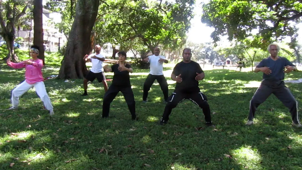 The Red Dragon Tai Chi And Chi Kung photo 4