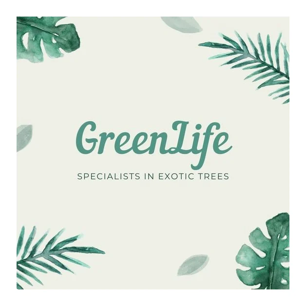Greenlife Exotic Trees and Landscaping logo