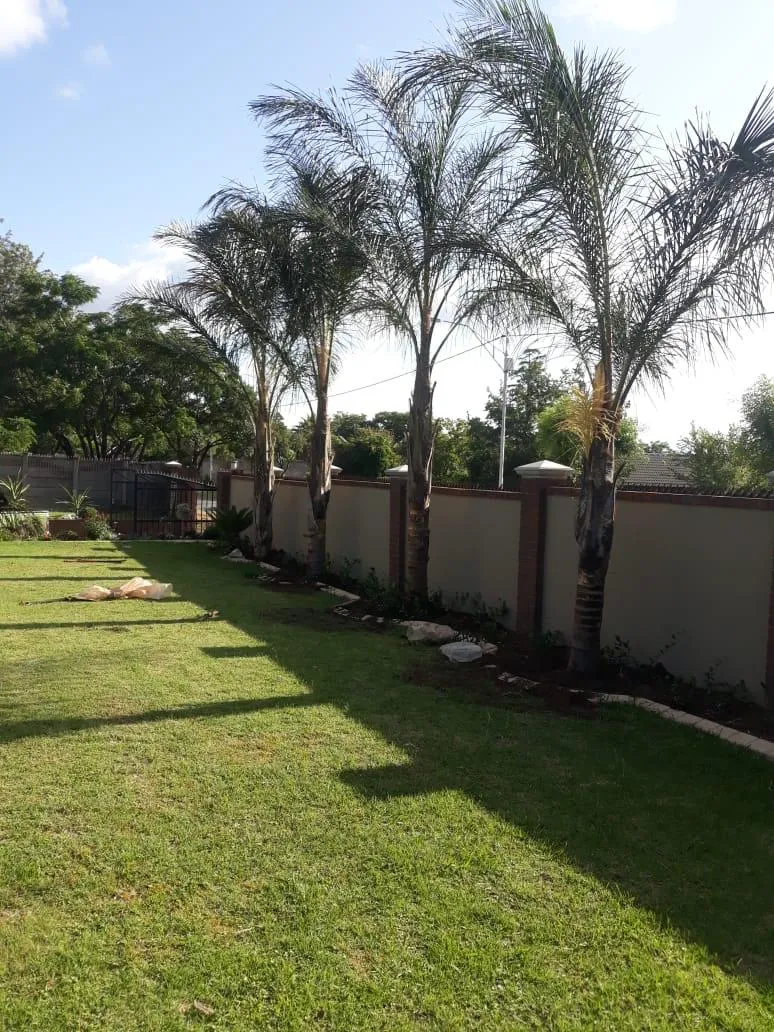 Greenlife Exotic Trees and Landscaping photo 3