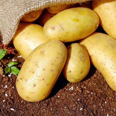 MGT Fruit and Veg photo 1