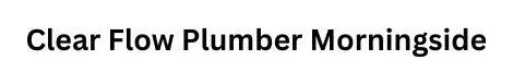 Clear Flow Plumber Morningside logo