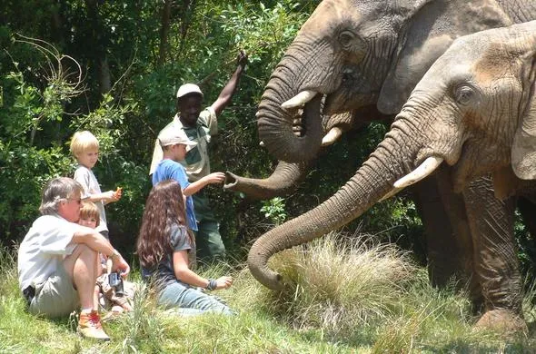 Buddy's Tours | Port Elizabeth Safari Tours photo 4