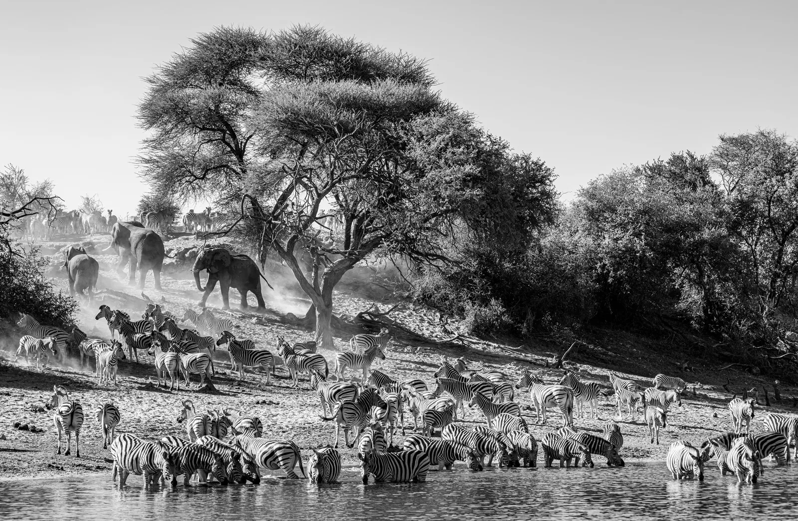 Hidden Africa photo 1