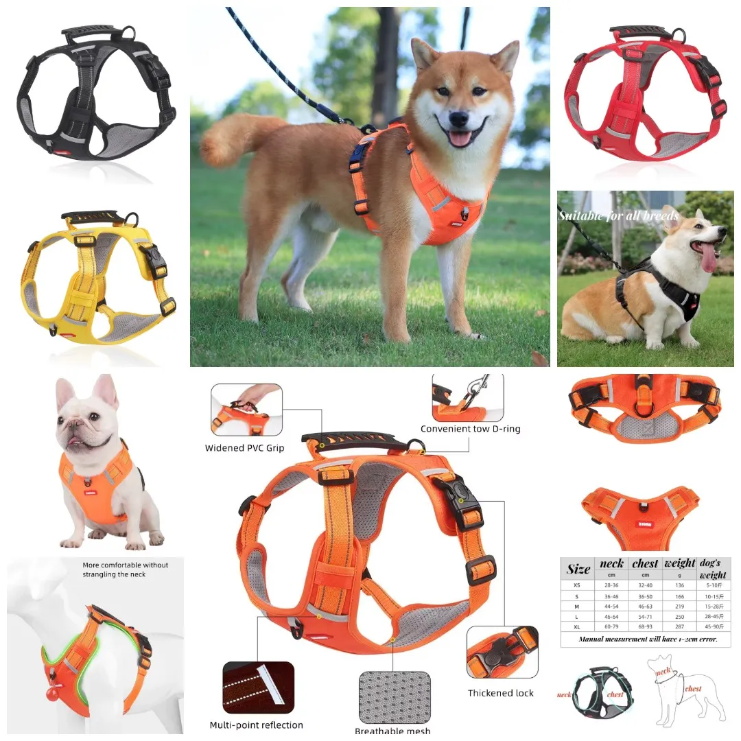 Vital Pet Guard photo 4