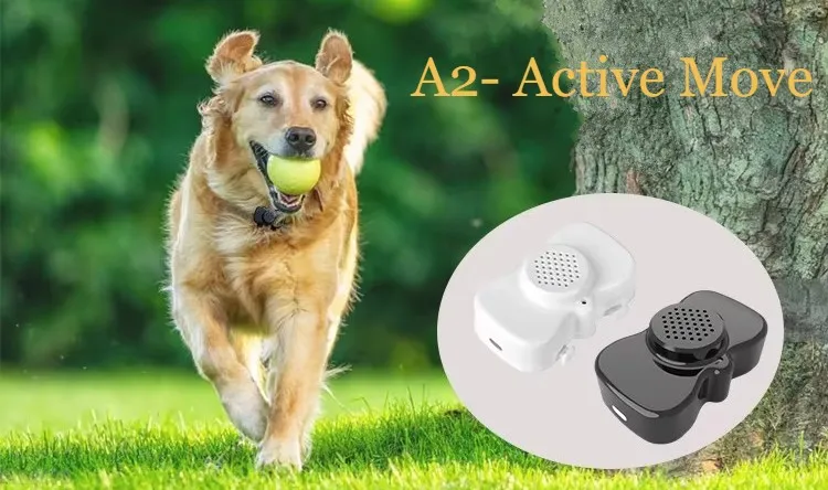 PET-GPS South Africa photo 1