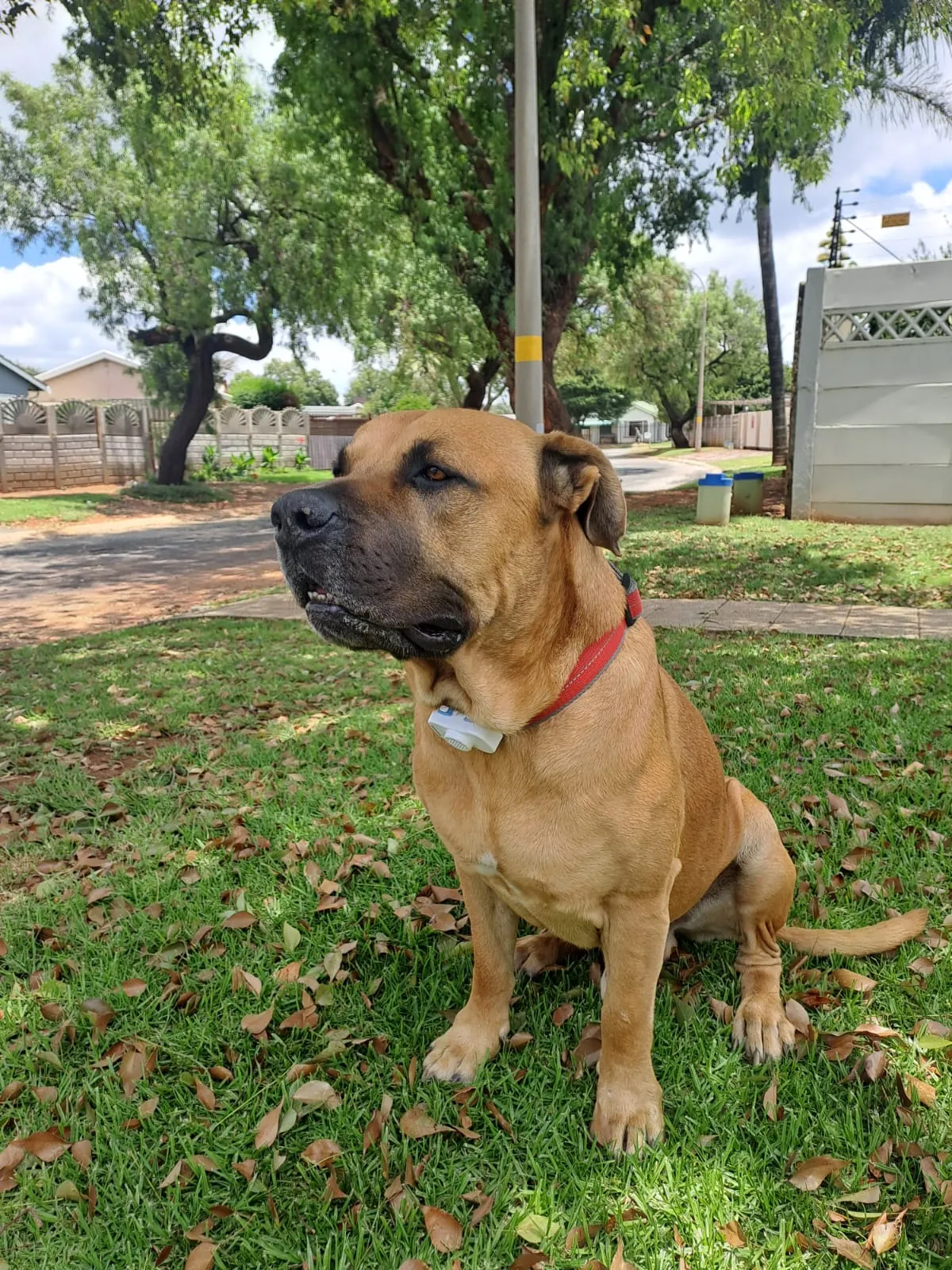PET-GPS South Africa photo 2