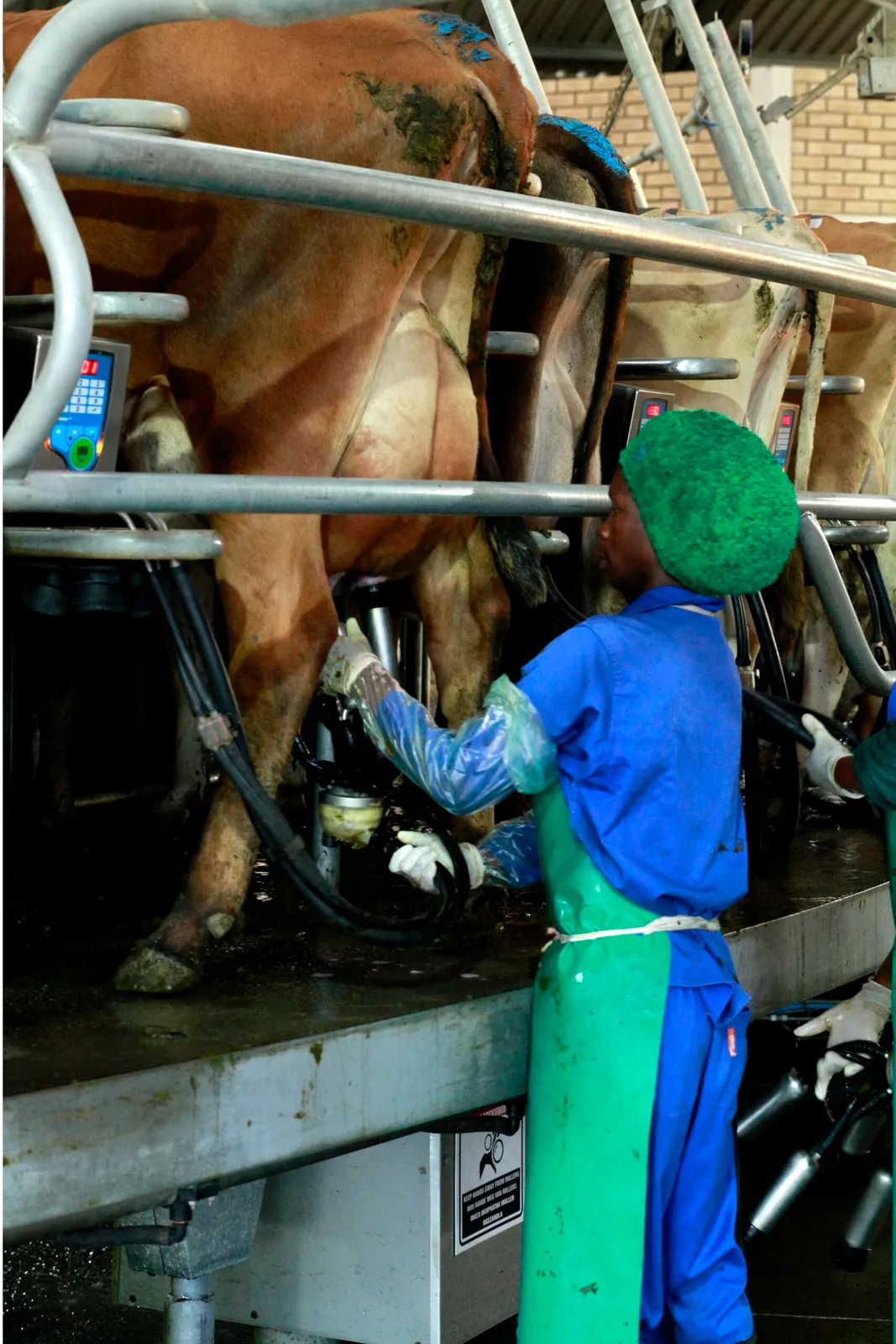 Cookhouse Creamery (Pty) Ltd photo 2