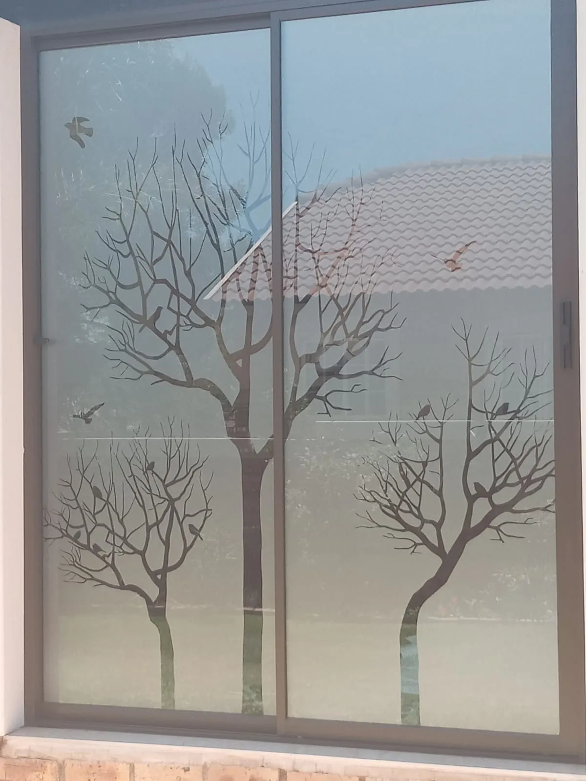 SPS Window Tinting photo 2