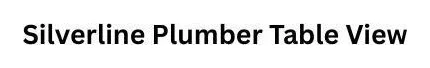 Silverline Plumber Table View logo