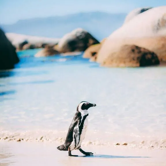 Van De Kaap Travel and Tours photo 4