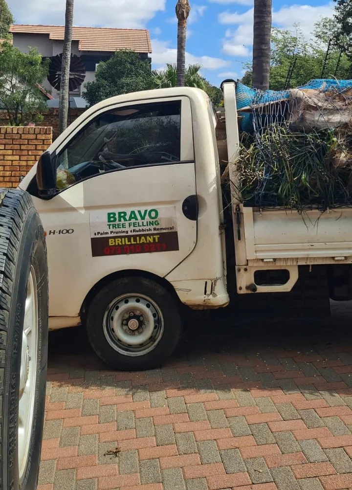 Bravo Tree Felling photo 4