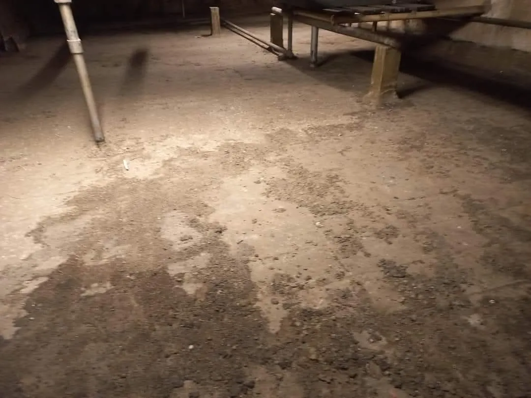 TURNER PEIRSON CLEANING photo 3