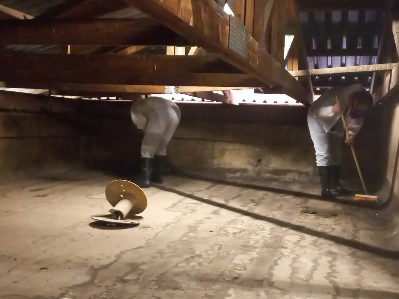 TURNER PEIRSON CLEANING photo 4