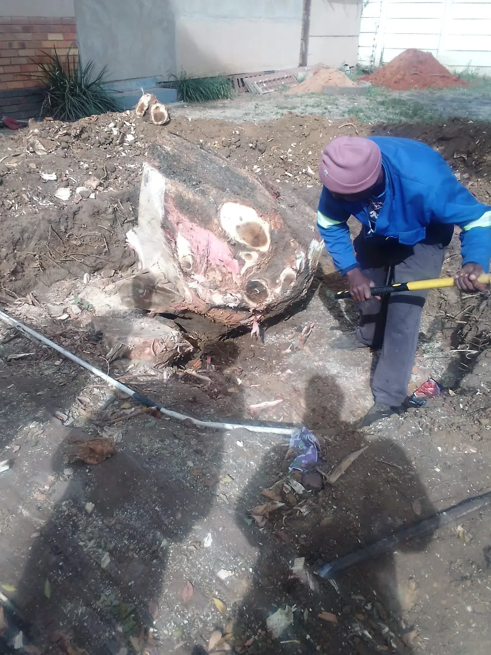 JN TREE FELLING photo 4