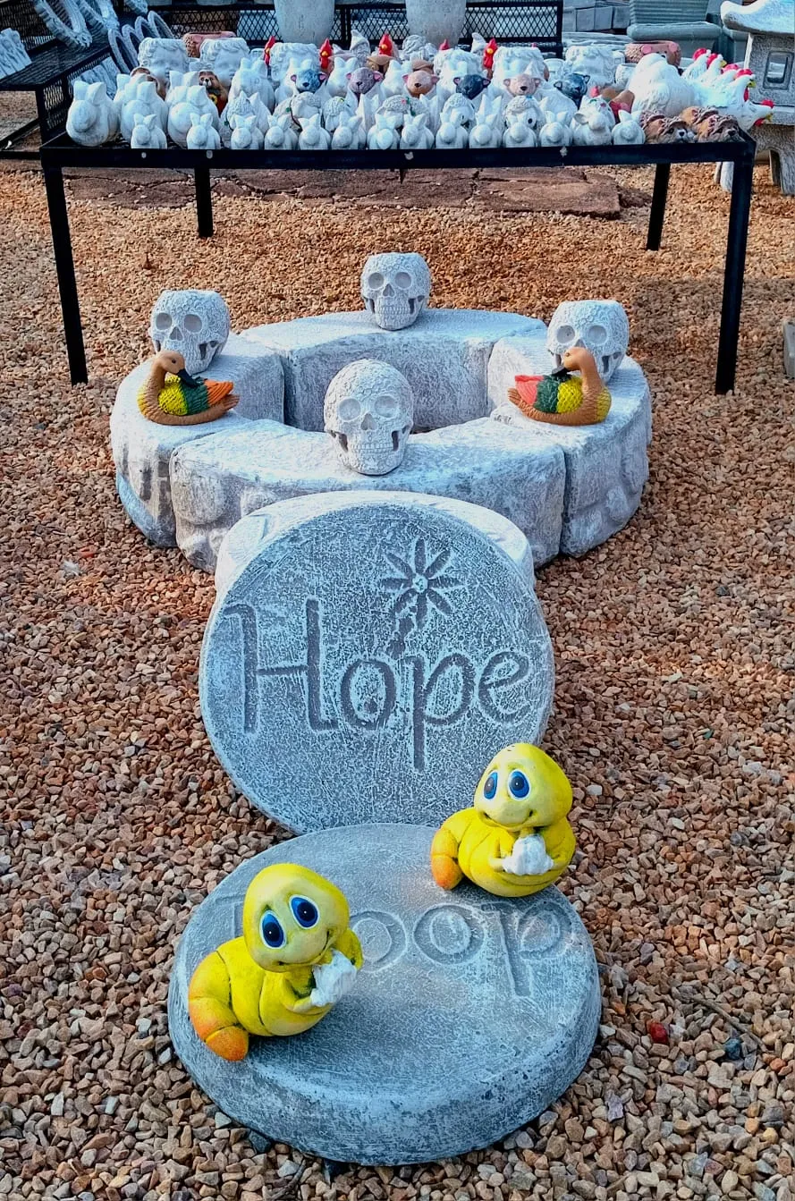 Pebbles and Pots photo 1