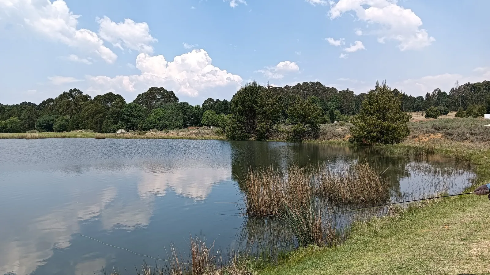 Immersive Angling photo 1