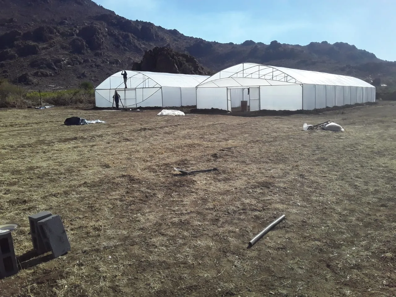 Royal Greenhouse Tunnels Construction S.A photo 1