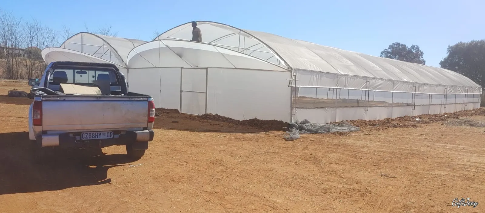Royal Greenhouse Tunnels Construction S.A photo 2