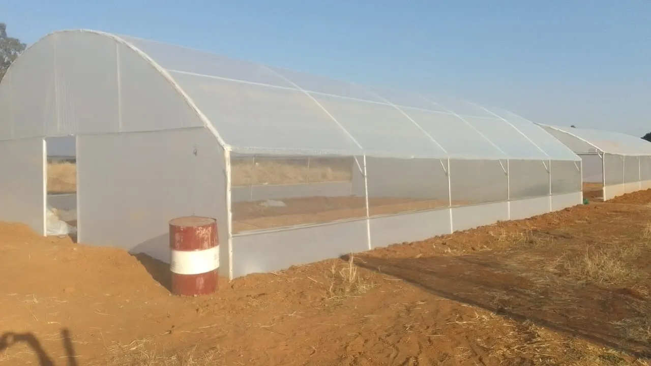 Royal Greenhouse Tunnels Construction S.A photo 3
