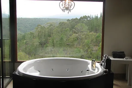Forest Valley Cottages photo 1