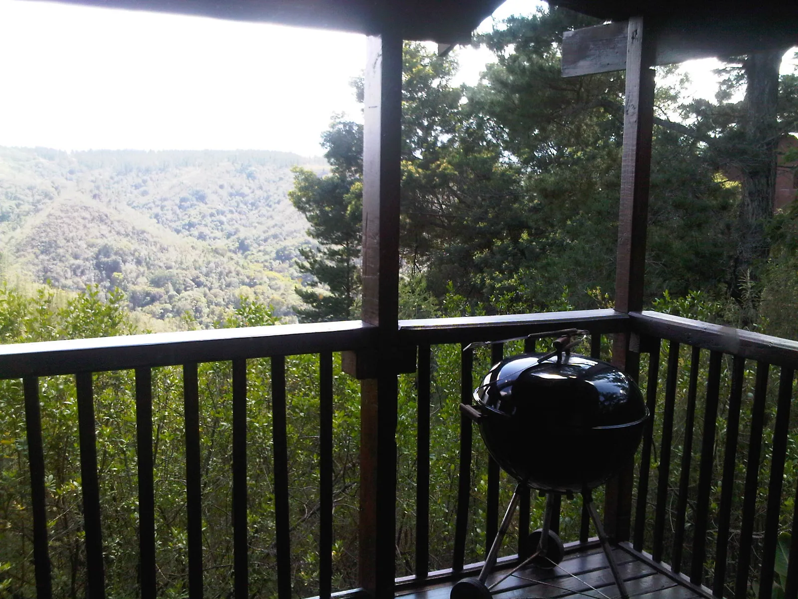 Forest Valley Cottages photo 4