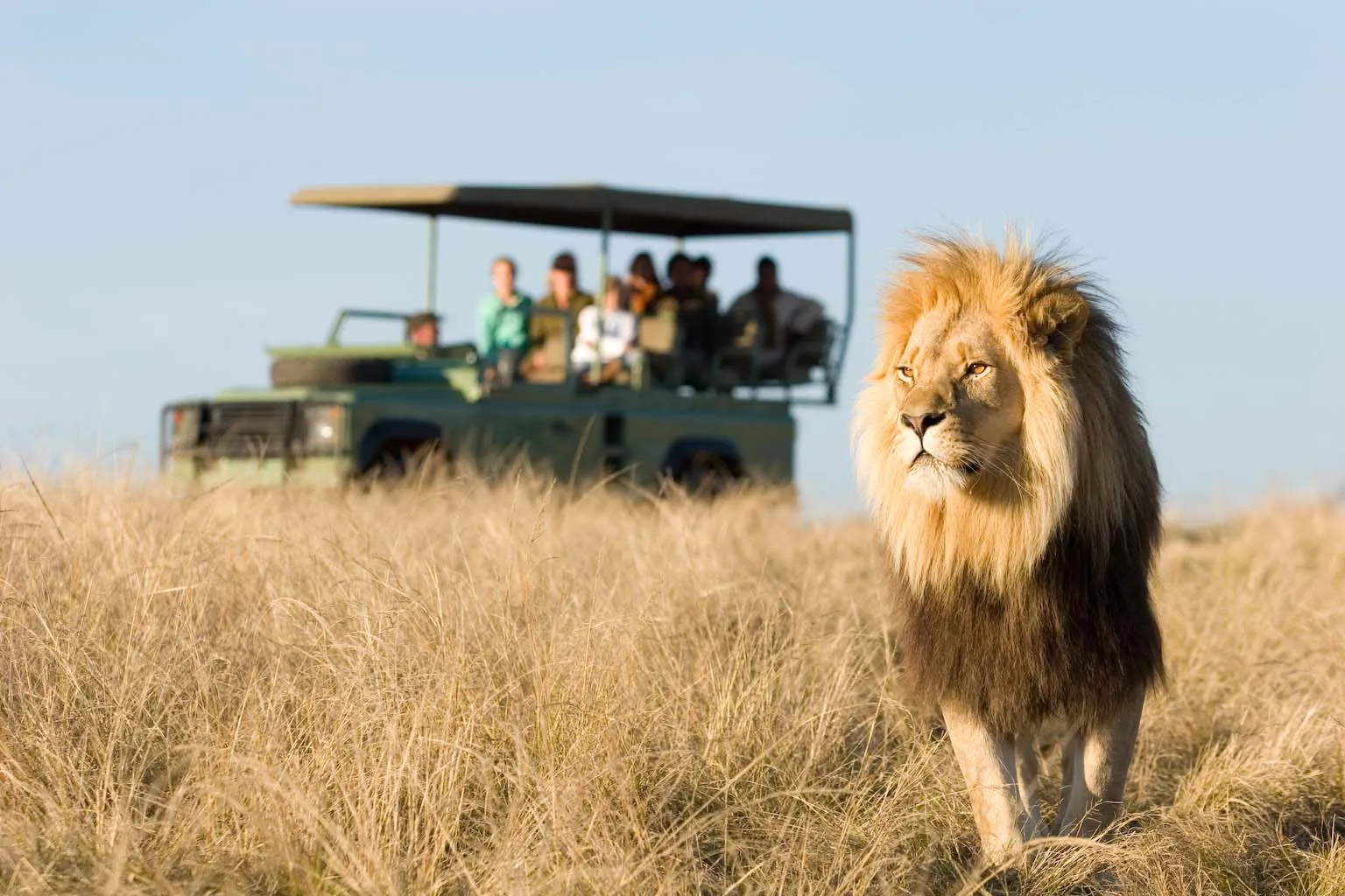 Plettenberg Bay Game Reserve photo 1