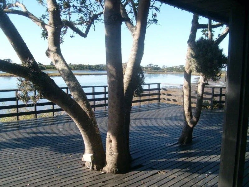 Plett River Lodge photo 4