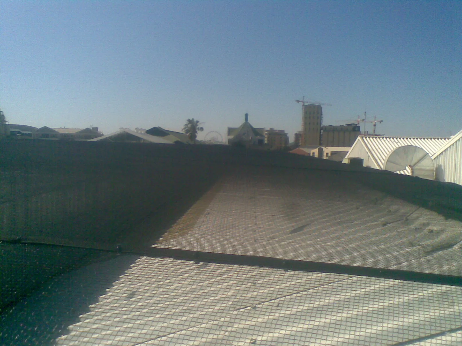Bird Repel Services photo 1
